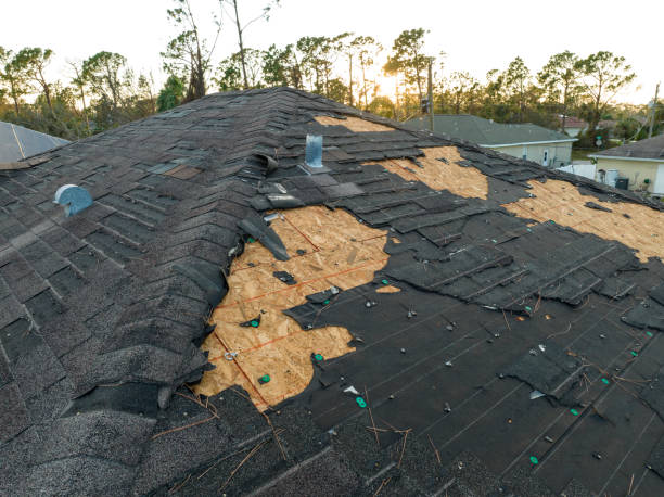 Best Commercial Roofing Services  in Hamburg, PA